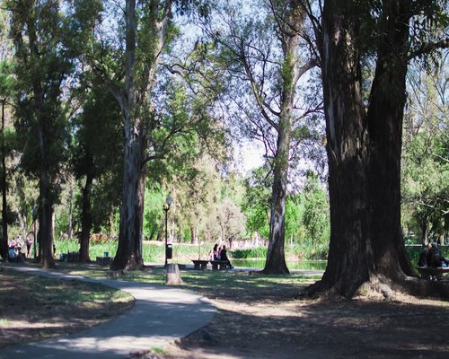 Familia paseando tranquilamente por un parque el fin de semana